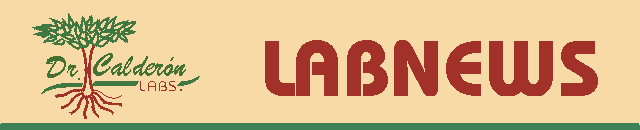 Labnews00_head.gif (3326 bytes)